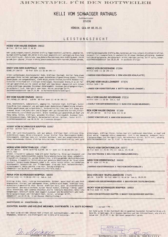 German Pedigree~ Kelli V Schwaiger Rathaus~ ARDK Import 105336